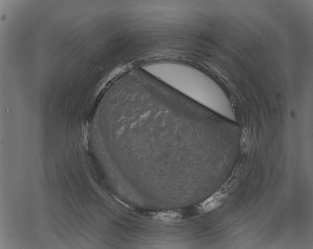 X0000066930168200603311401