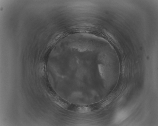 X0000066930169200603311401