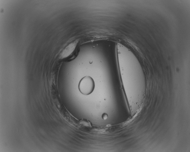 X0000066930170200603311401