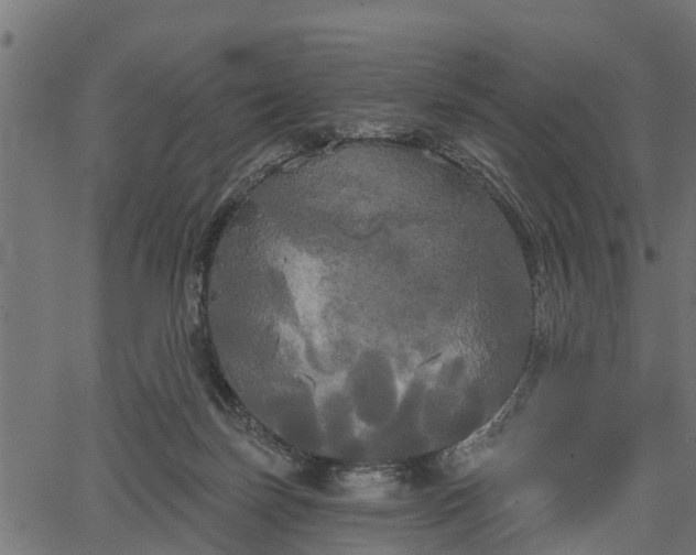 X0000066930171200603311401