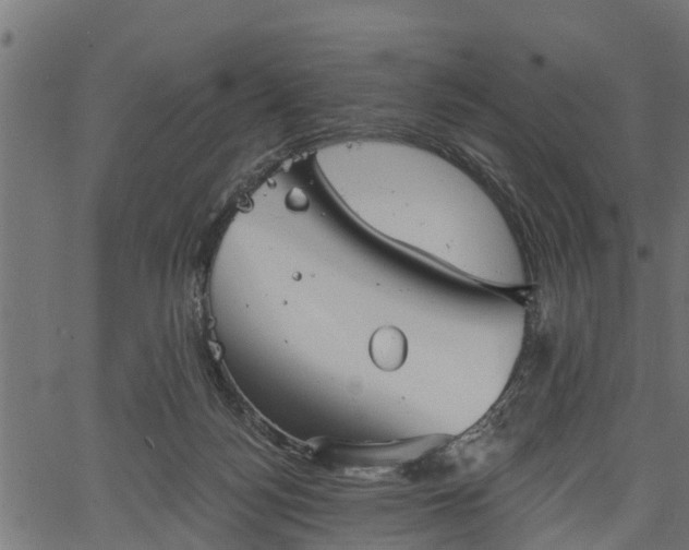 X0000066930172200603311401