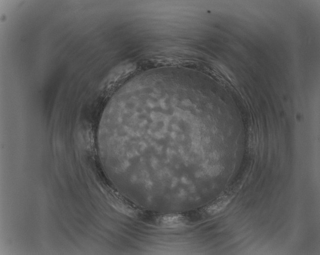 X0000066930173200603311401