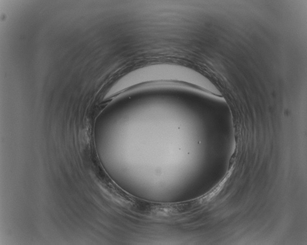 X0000066930174200603311401