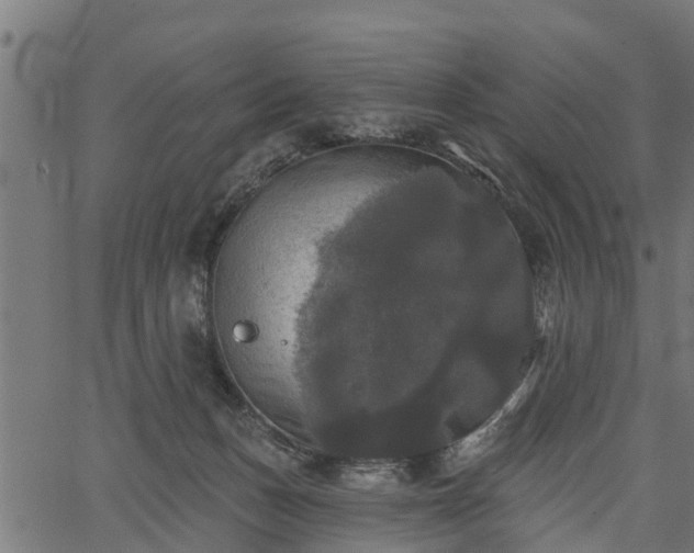 X0000066930175200603311401