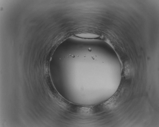 X0000066930176200603311401