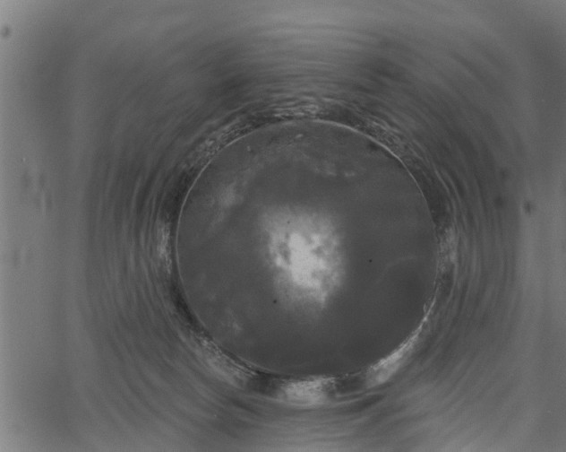 X0000066930178200603311401