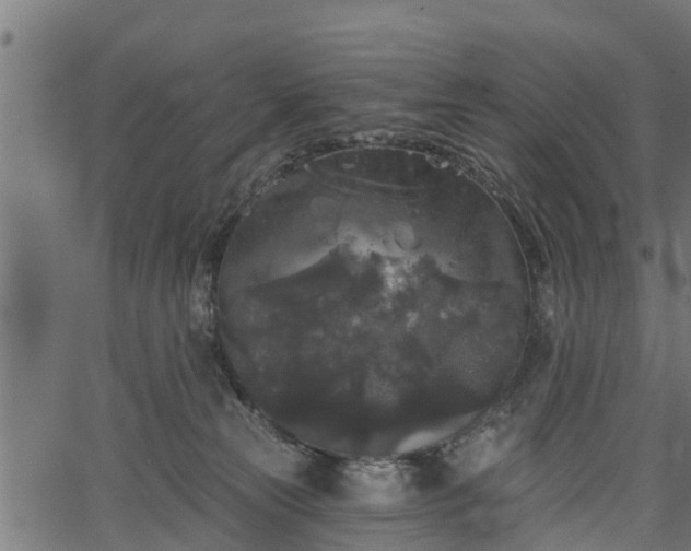 X0000066930181200603311401