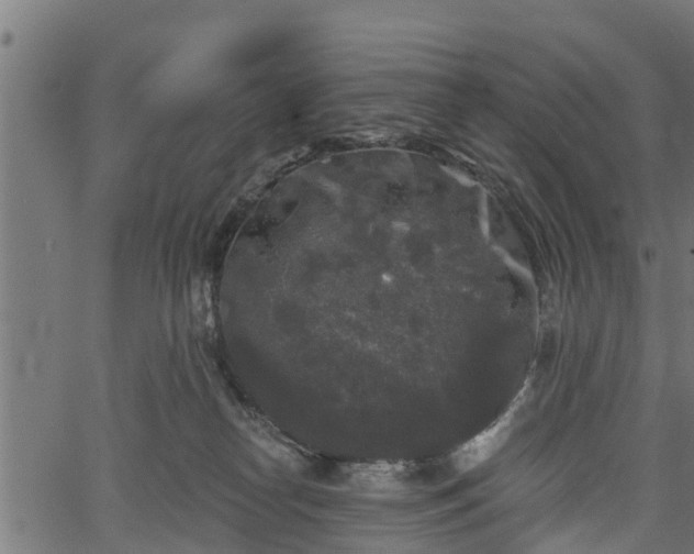 X0000066930182200603311401