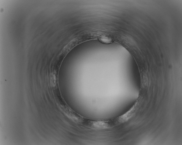 X0000066930183200603311401