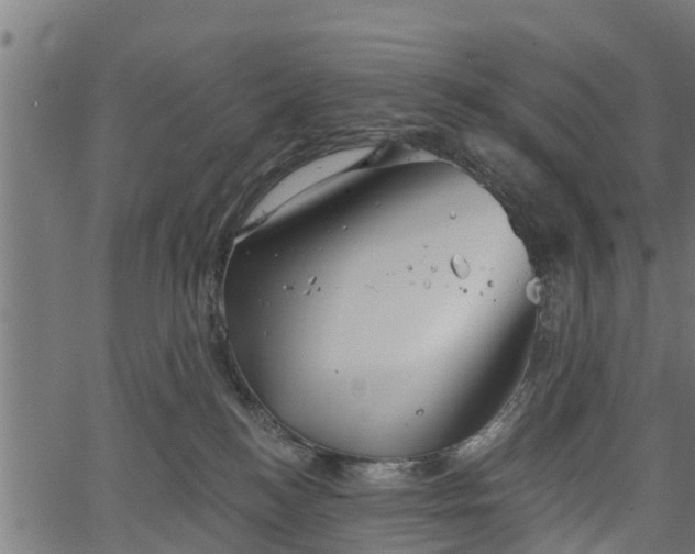 X0000066930184200603311401