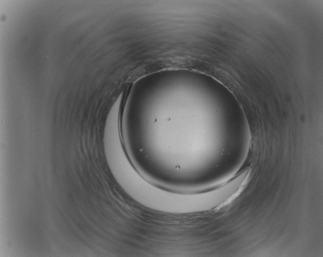 X0000066930186200603311401