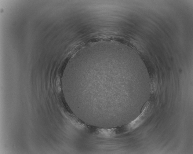 X0000066930187200603311401