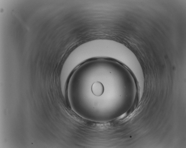 X0000066930188200603311401