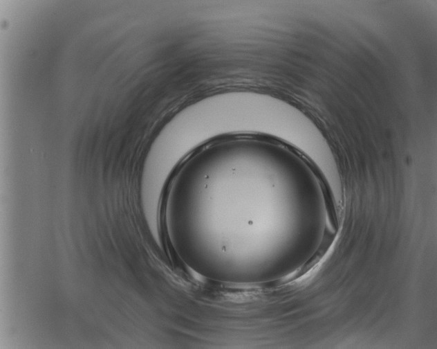 X0000066930190200603311401