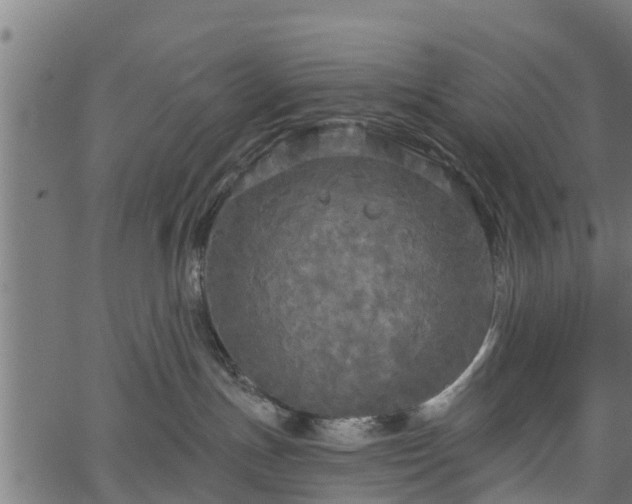 X0000066930191200603311401