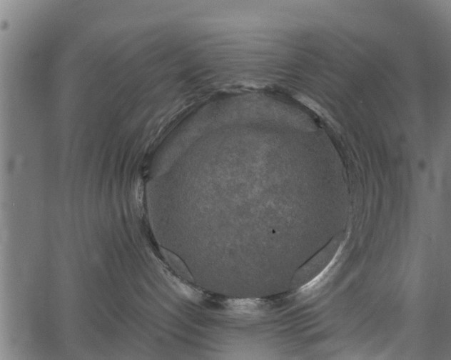 X0000066930192200603311401