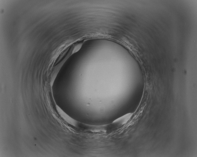 X0000066930193200603311400