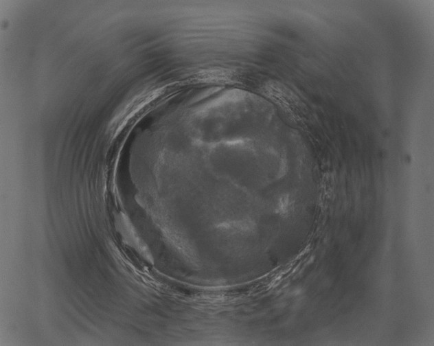 X0000066930194200603311400