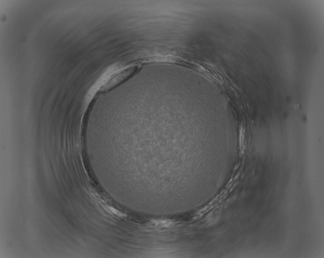 X0000066930195200603311400