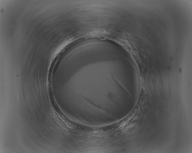 X0000066930196200603311400