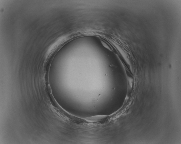 X0000066930197200603311400