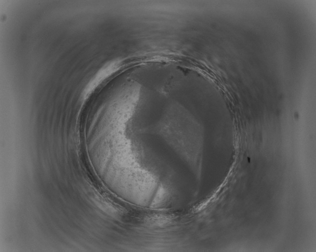 X0000066930198200603311400