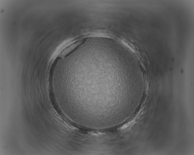 X0000066930199200603311400