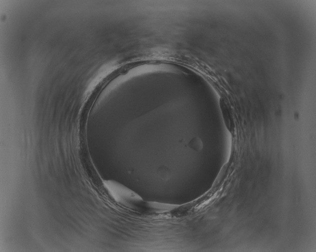 X0000066930200200603311400