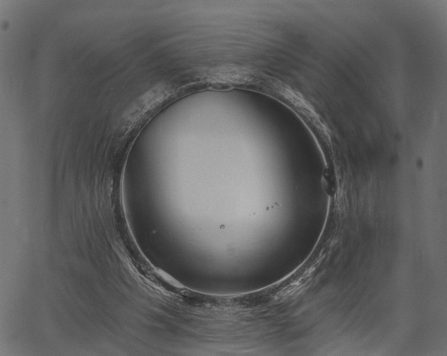 X0000066930201200603311400