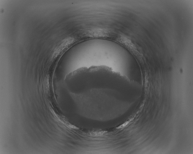 X0000066930202200603311400