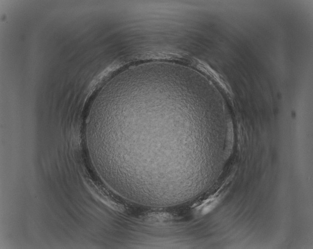 X0000066930203200603311400