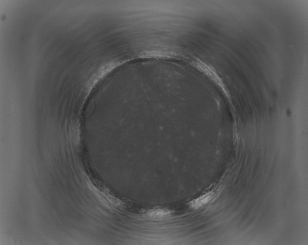 X0000066930204200603311400