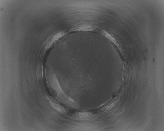 X0000066930205200603311400