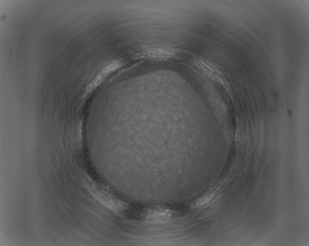 X0000066930206200603311400