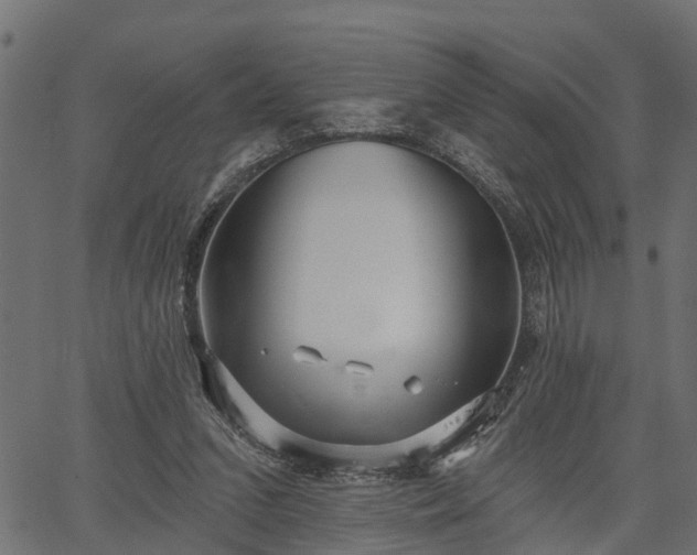 X0000066930207200603311400