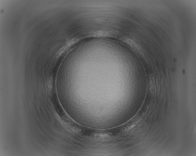 X0000066930208200603311400