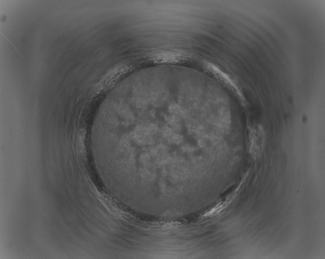 X0000066930209200603311400