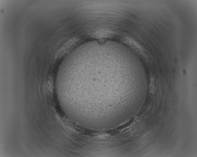 X0000066930210200603311400