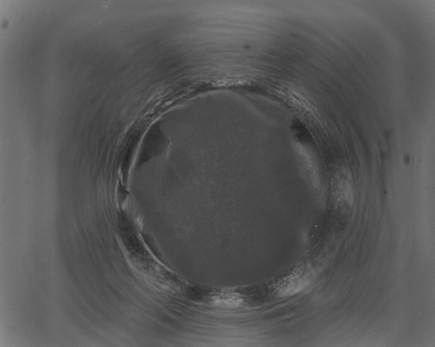 X0000066930214200603311400