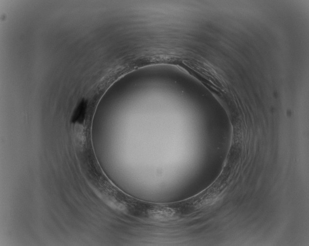 X0000066930215200603311400