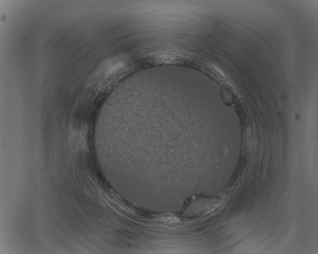 X0000066930217200603311400