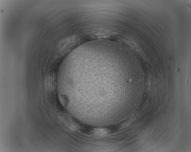 X0000066930218200603311400