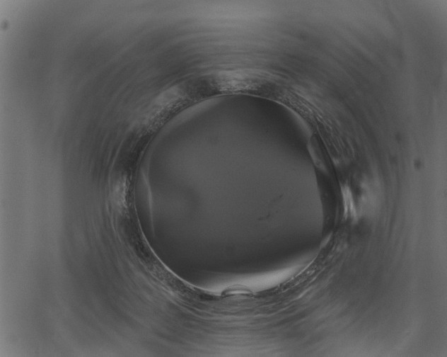 X0000066930219200603311400