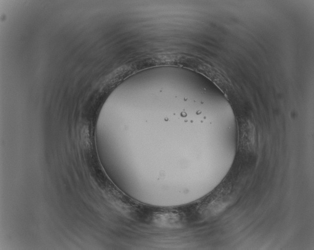 X0000066930220200603311400