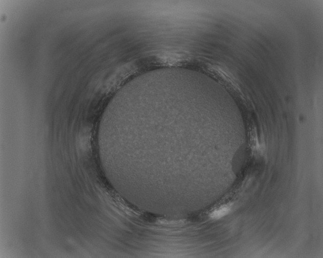 X0000066930221200603311400