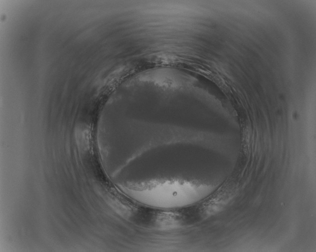 X0000066930222200603311400