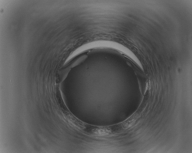 X0000066930223200603311400