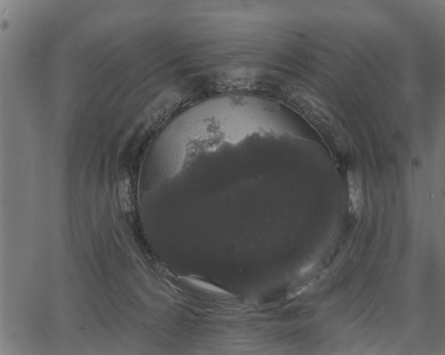 X0000066930224200603311400