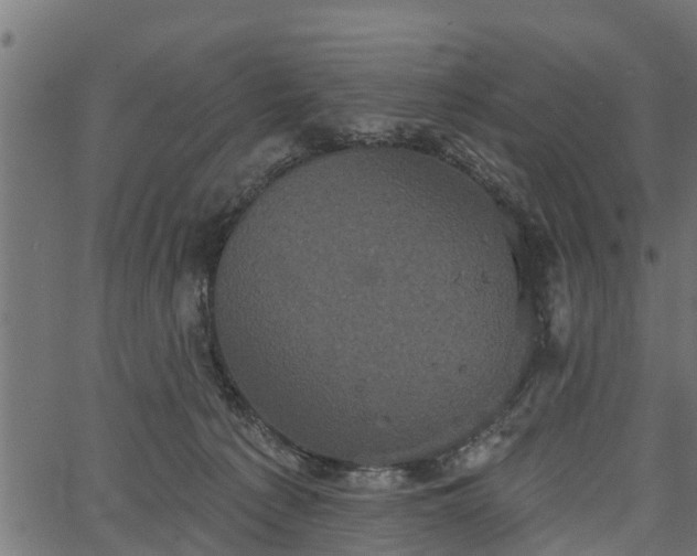 X0000066930225200603311400