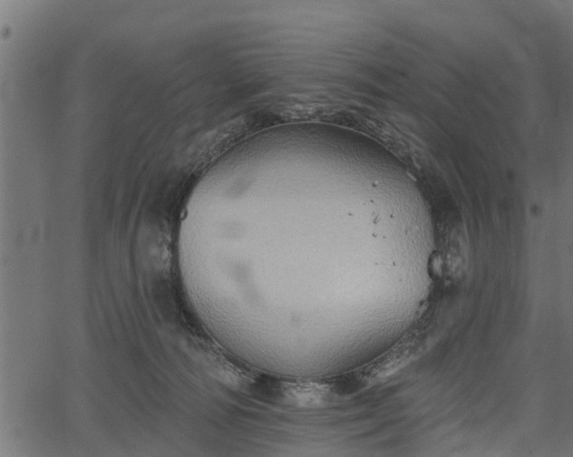 X0000066930226200603311400